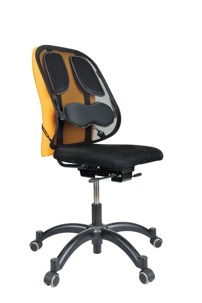 Netz-Rückenstütze Professional Series - Textil, 304 x 370 x 195 mm, graphit