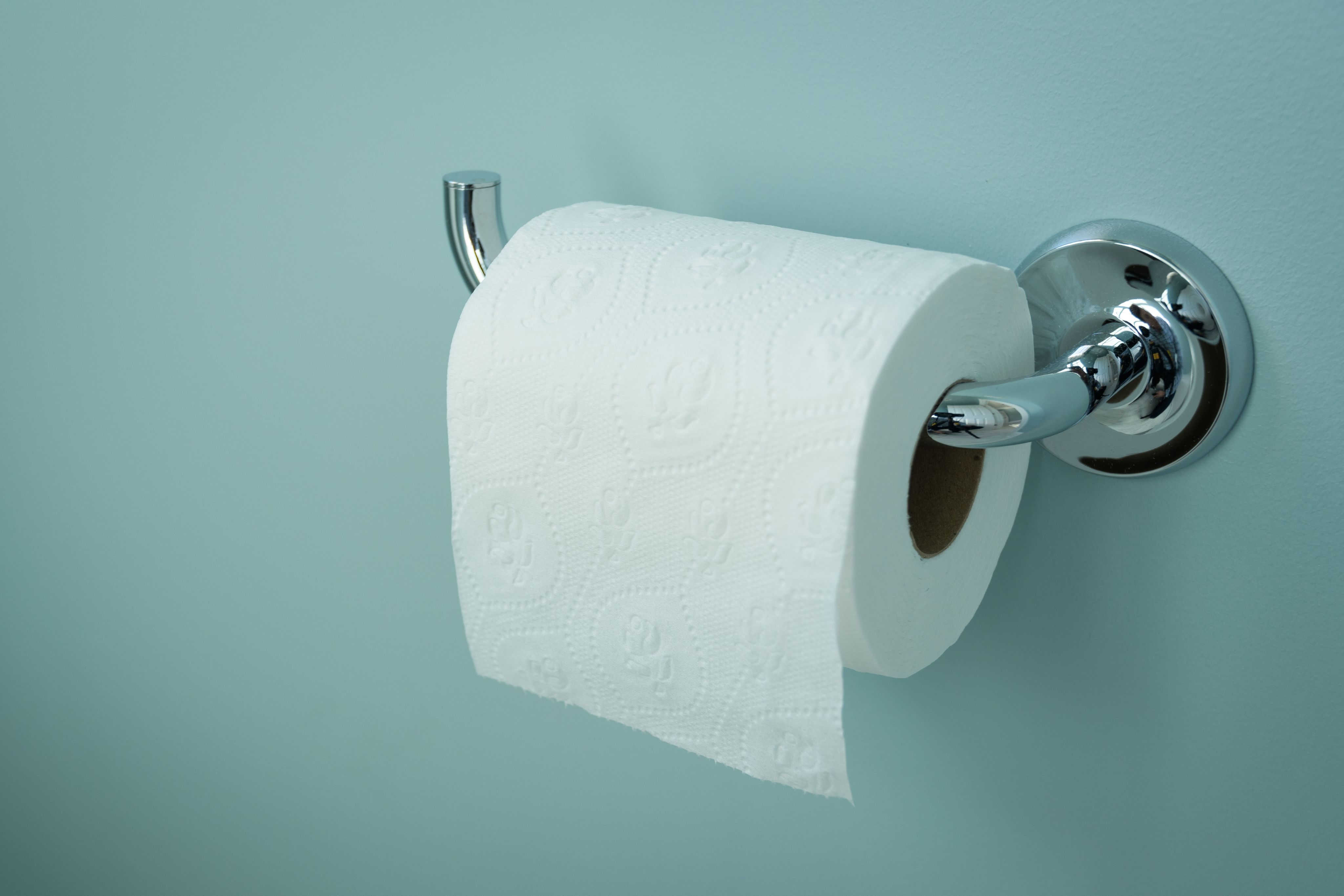 DP Toilettenpapier