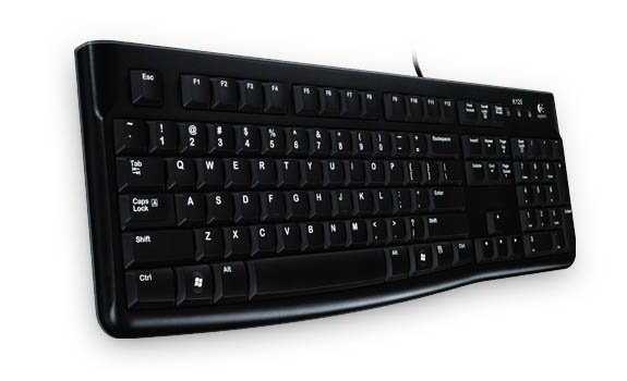 Keyboard K120 for Business - USB, schwarz